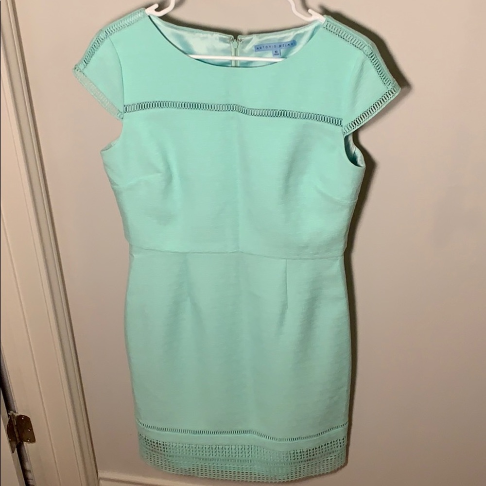 Sea Foam Green Antonio Melani Dress